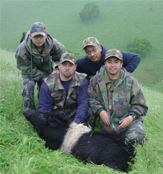 group with dutchbelt pig