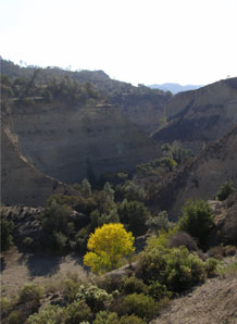 fall photo of the gorge