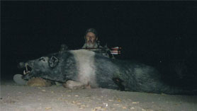 large boar and hunter