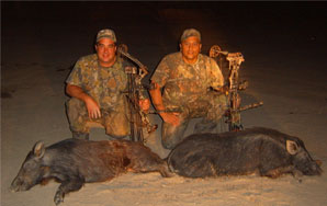 Two hunters and two pigs